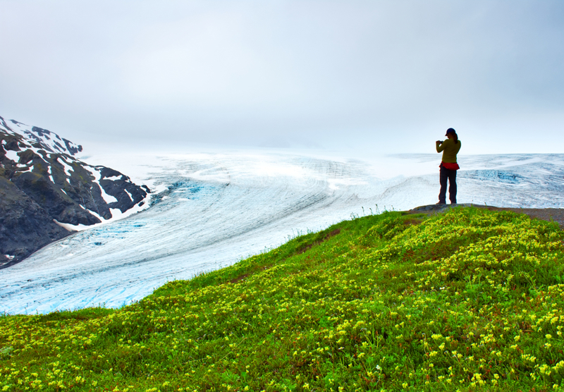 Exit Glacier 