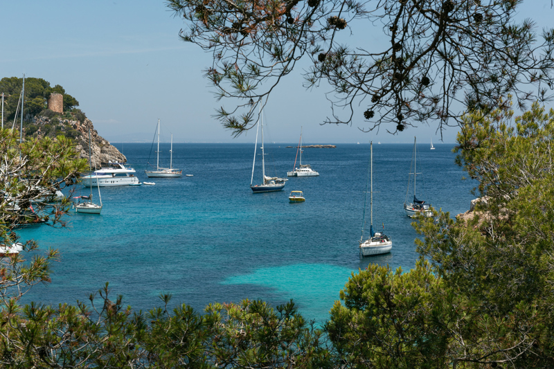 ΛΕ ΓΚΟΣΙΕΡ – Εκδρομή στο ΜΠΑΣ ΤΕΡ (ΕΘΝΙΚΟ ΠΑΡΚΟ ΓΟΥΑΔΕΛΟΥΠΗΣ) – ΠΑΡΑΛΙΑ ΜΑΛΕΝΤΙΡ – ΝΤΕΣ