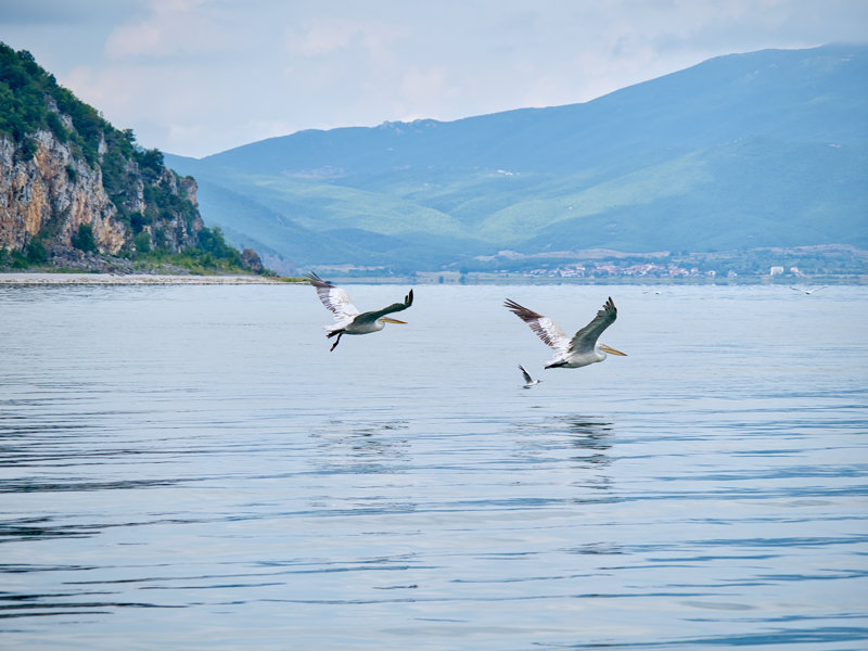 Θαυμάζουμε τα μοναδικά τοπία των Πρεσπών  