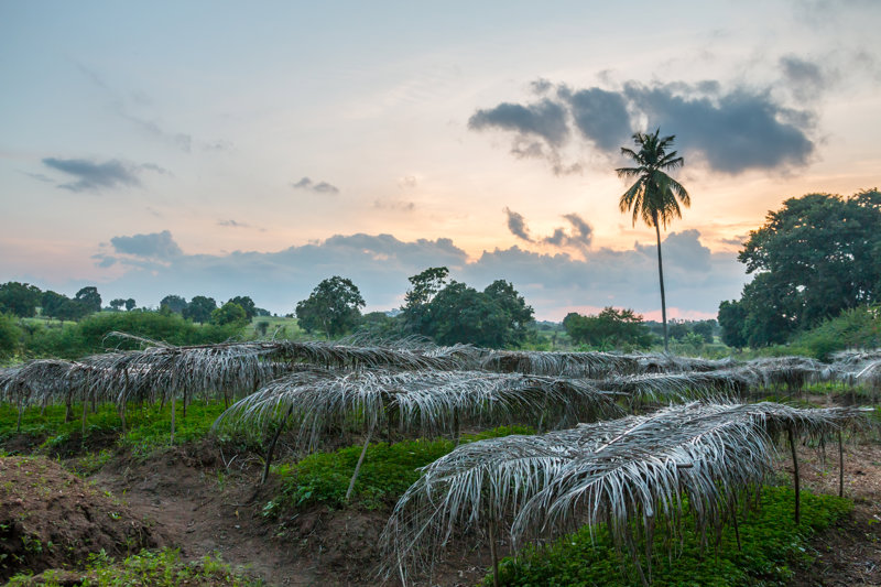 ΓΙΑΜΟΥΣΟΥΚΡΟ – ΑΜΠΙΤΖΑΝ (πτήση επιστροφής)