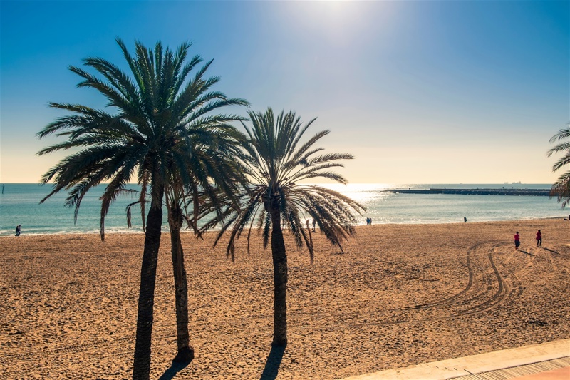 Μπαρθελονέτα, Βαρκελώνη