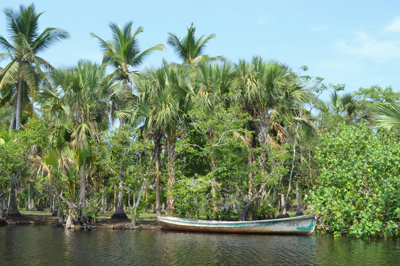ΠΟΥΕΡΤΟ ΟΡΝΤΑΖ – ΟΡΙΝΟΚΟ  