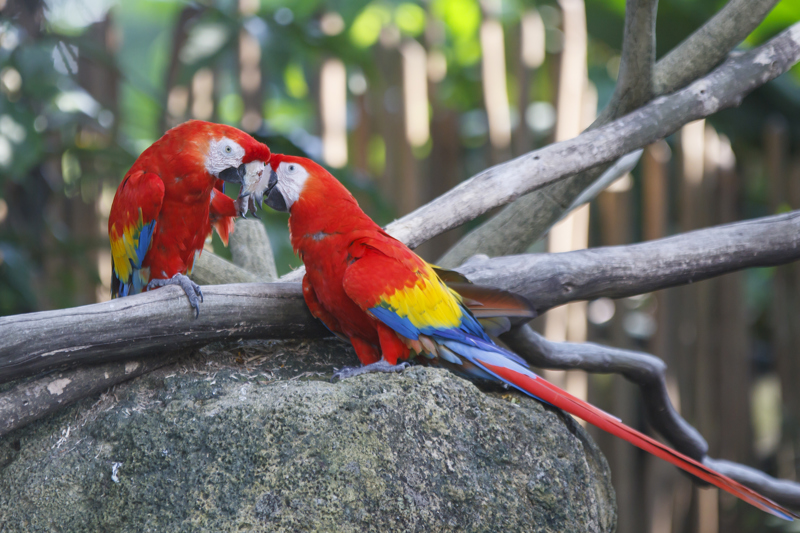 Στην αγκαλιά της μαγευτικής φύσης