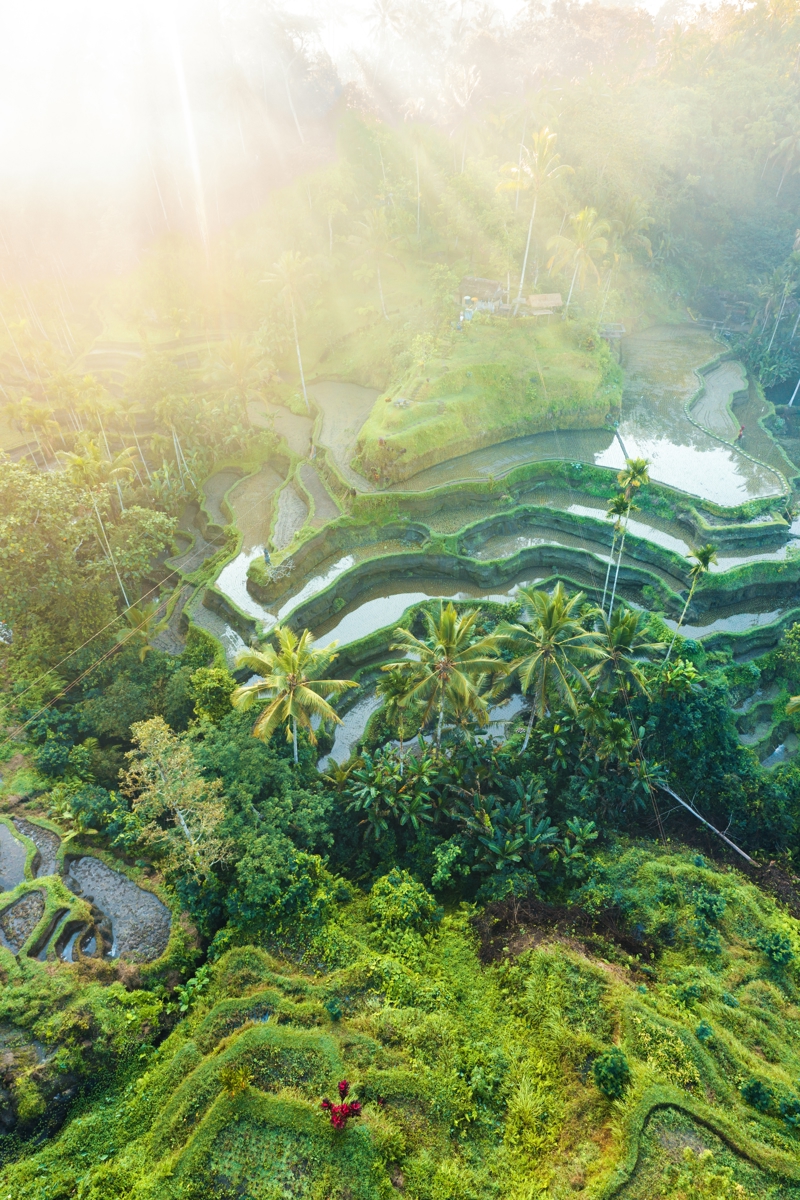 ΜΠΑΛΙ: Ουμπούντ με διανυκτέρευση