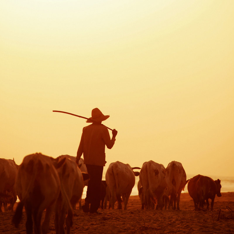 Κορογκό, η μεγαλύτερη πόλη στον βορρά της Ακτής Ελεφαντοστού