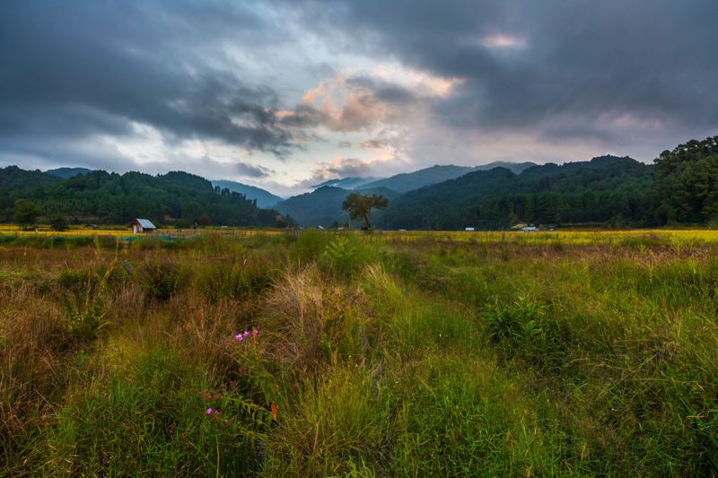 ΖΙΡΟ: Χωριά Χονγκ, Ντούτα, Χάρι