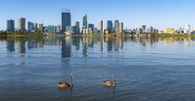 ΠΕΡΘ: Ξενάγηση & Κρουαζιέρα στον ποταμό Swan