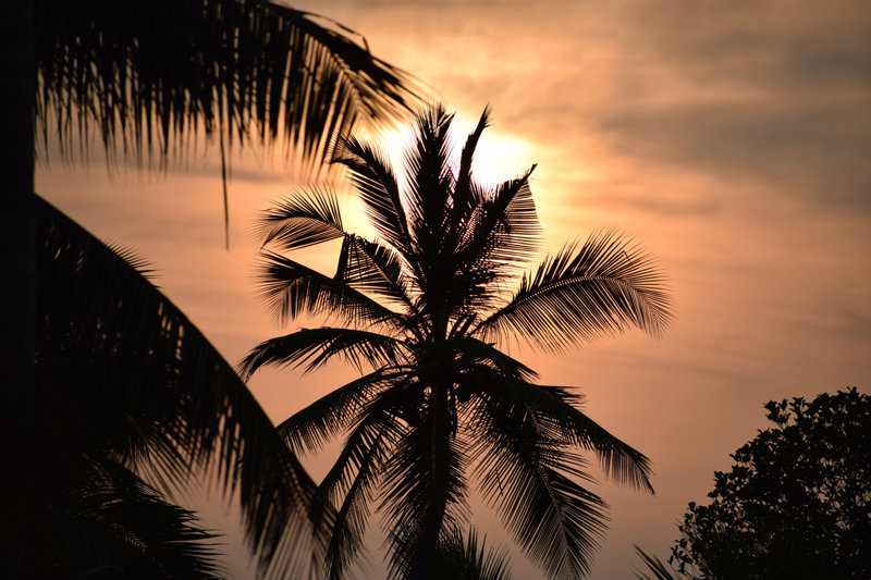 Μοναδικές δραστηριότητες