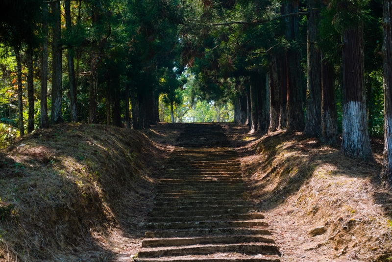 ΜΟΚΟΚΤΣΟΥΝΓΚ: Λονγκούμ - Ούνγκμα 