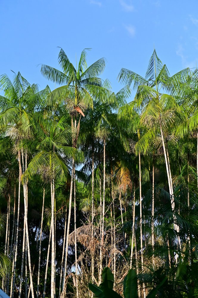 Αξέχαστη διαμονή 