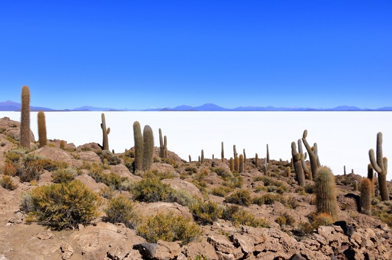 Nησί Ινκαουάσι, Boλιβία 