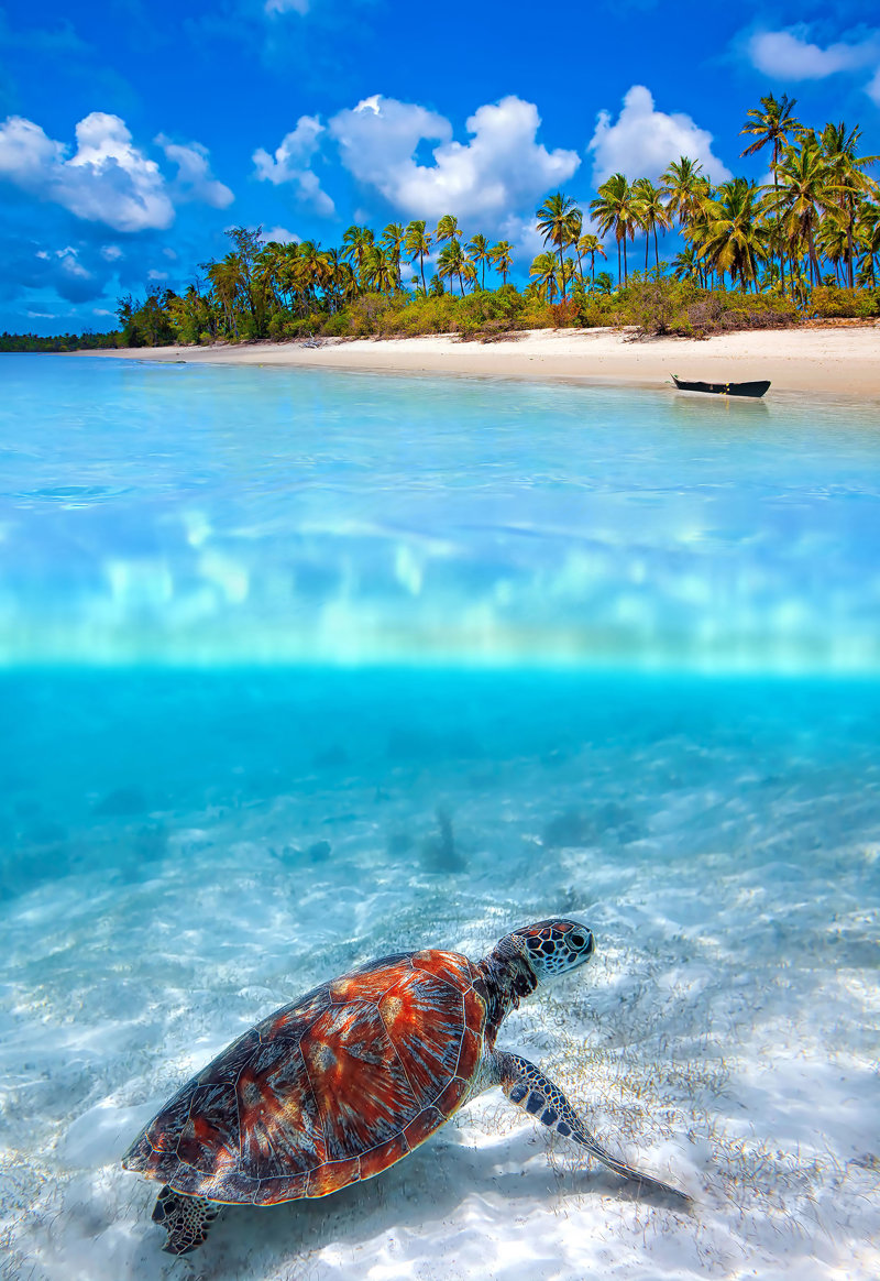 Ξέγνοιαστες μέρες στην εξωτική Ζανζιβάρη 