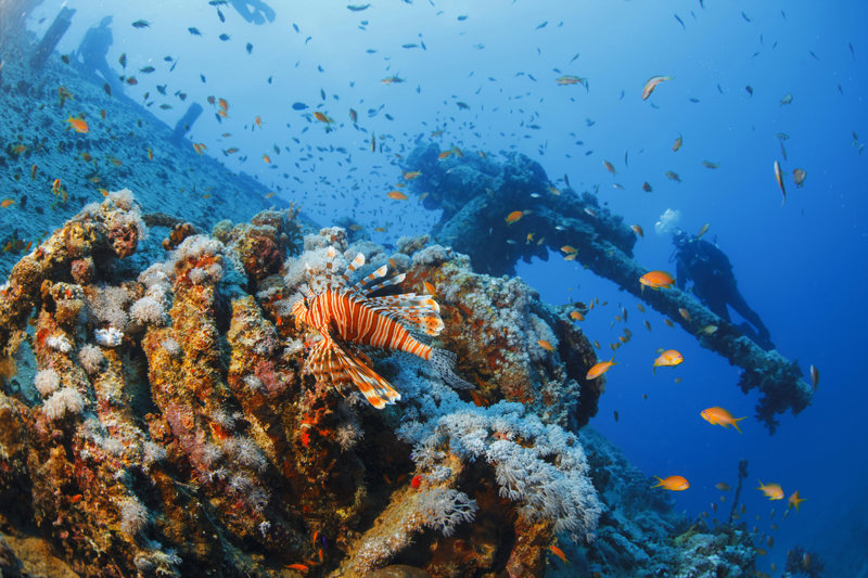 Εθνικό Πάρκο Ρας Μοχάμεντ 