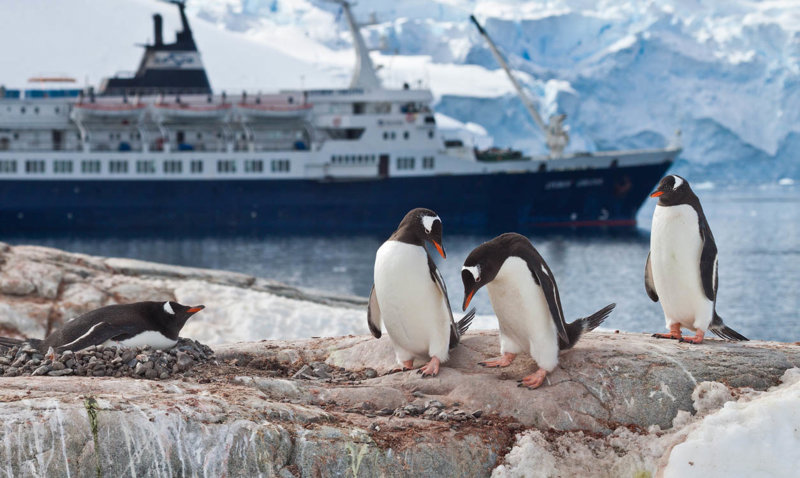 ΟΥΣΟΥΑΪΑ – ΚΡΟΥΑΖΙΕΡΑ ΣΤΗΝ ΑΝΤΑΡΚΤΙΚΗ: Κανάλι Μπιγκλ