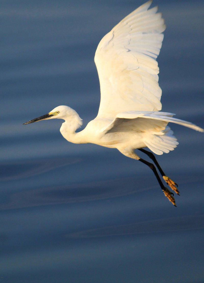 Βαρκάδα στη λίμνη Τσίλκα