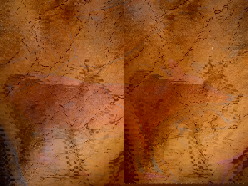 Επίσκεψη στο Σπήλαιο της Αλταμίρα