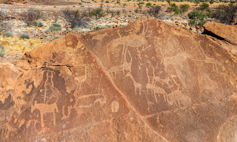Καταπληκτικές επισκέψεις 