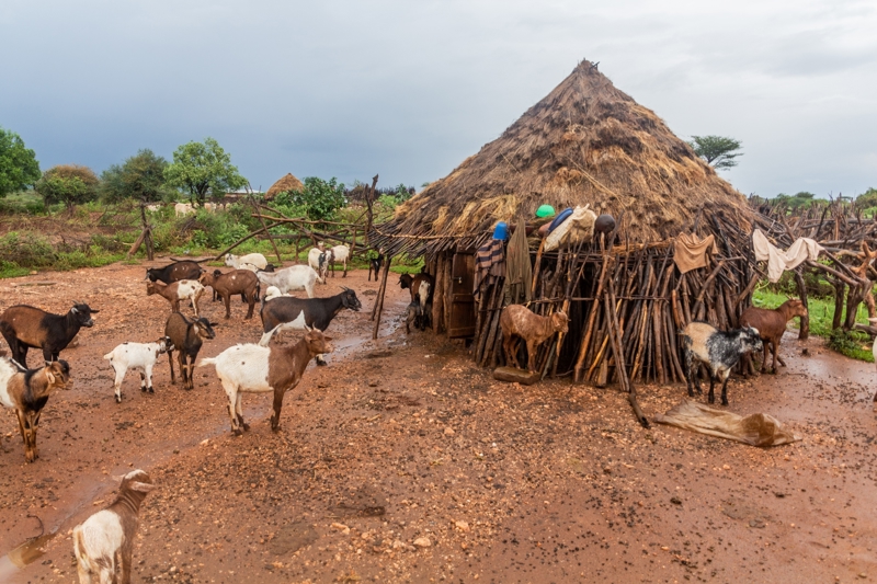 Σπίτια της φυλής Χάμερ