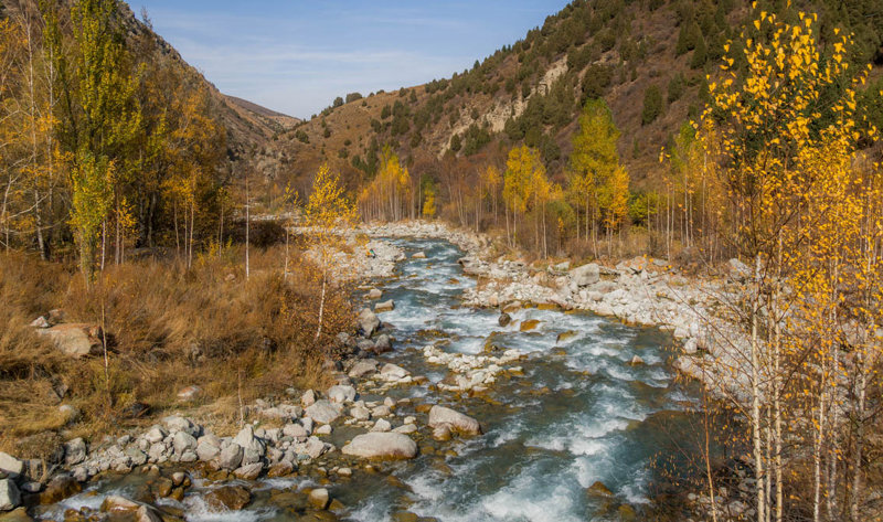 Το Εθνικό Πάρκο Άλα Αρτσά
