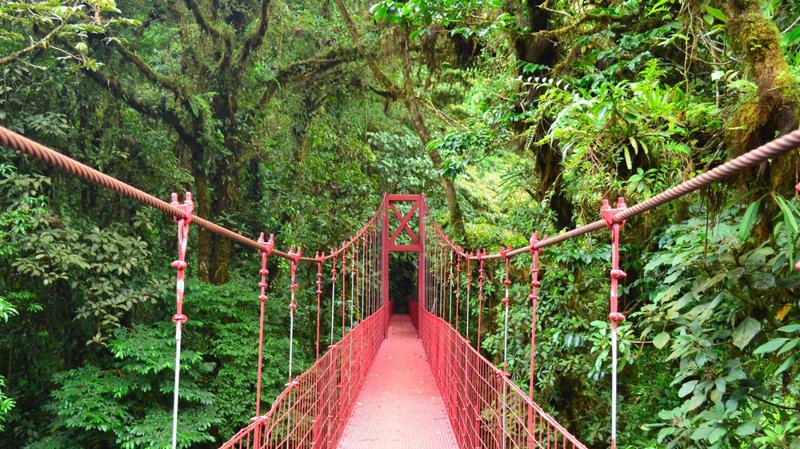 ΜΟΝΤΕΒΕΡΔΕ