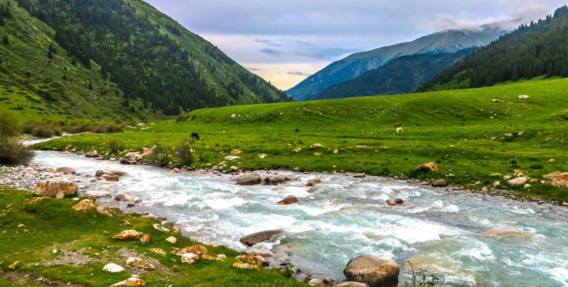 Καταφύγιο άγριας ζωής Αλτίν Αρασάν