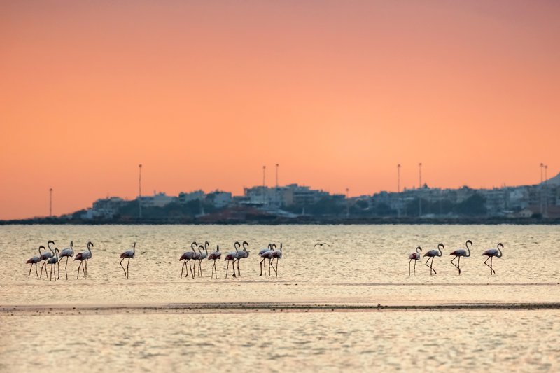 Αθήνα – Αλεξανδρούπολη