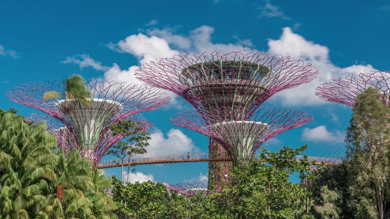 ΠΟΥΚΕΤ – ΣΙΓΚΑΠΟΥΡΗ  