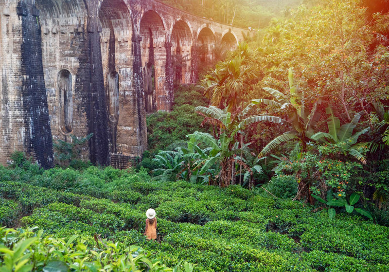 Τοξωτή γέφυρα Ελλα