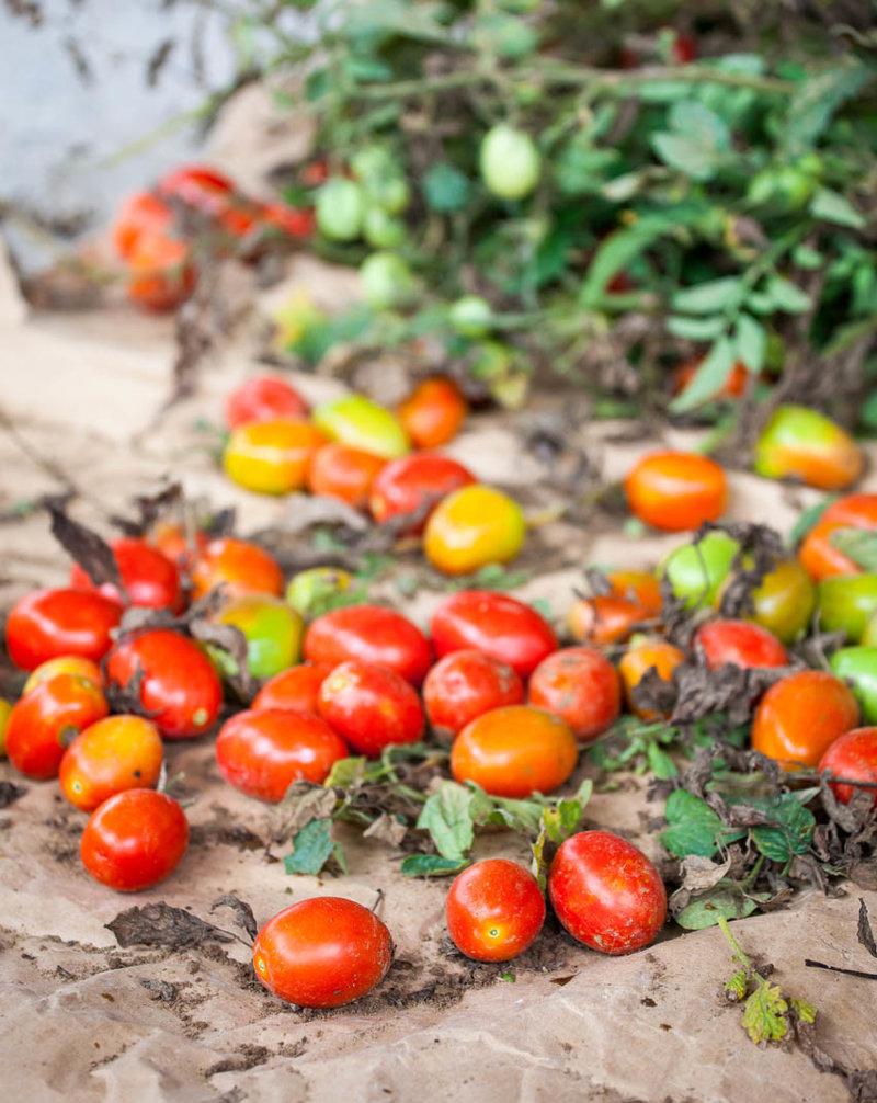 Τα ιδιαίτερα προϊόντα του νησιού 