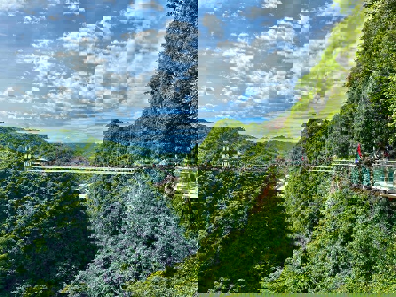 Γέφυρα Μπακ Λονγκ 