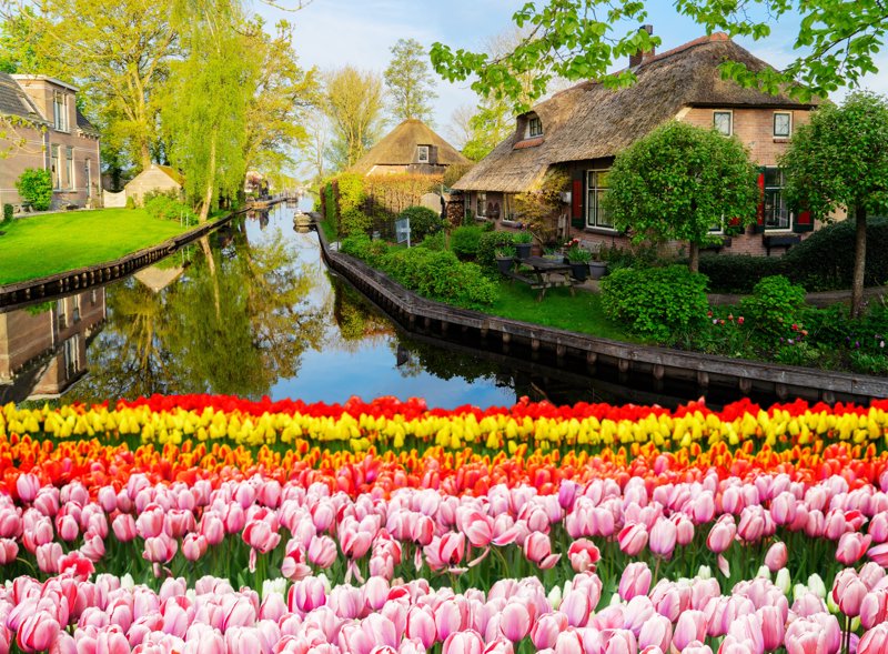 Γκίτχορν, Ολλανδία