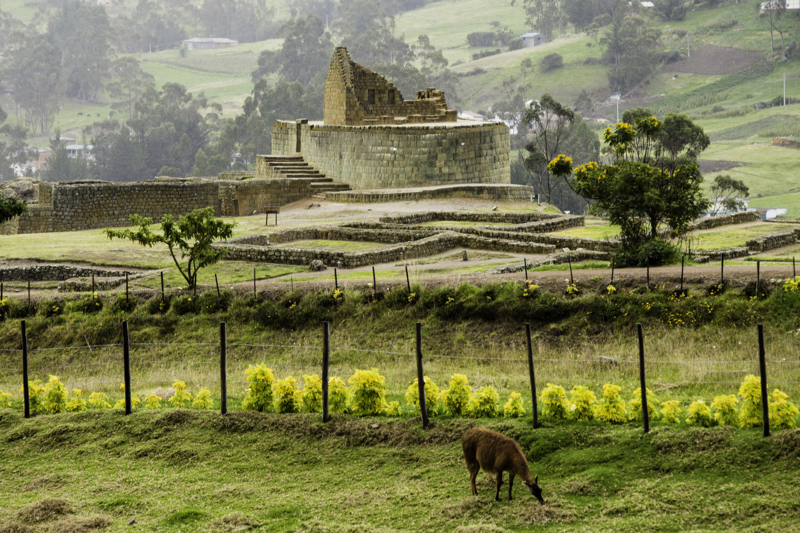 Ινγκαπίρκα, Εκουαδόρ