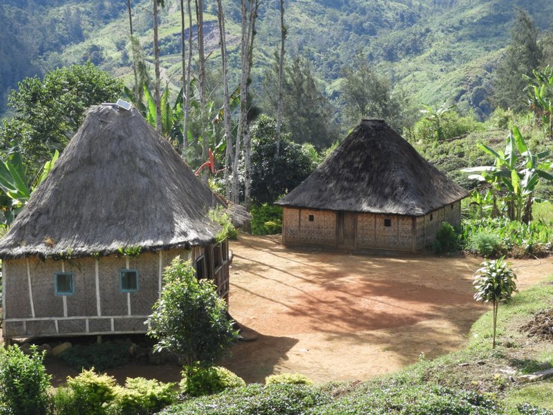 ΜΑΟΥΝΤ ΧΑΓΚΕΝ – ΜΙΝΤΙΜΑ (ΦΥΛΗ ΤΩΝ ΣΚΕΛΕΤΩΝ) – ΓΚΟΡΟΚΑ 