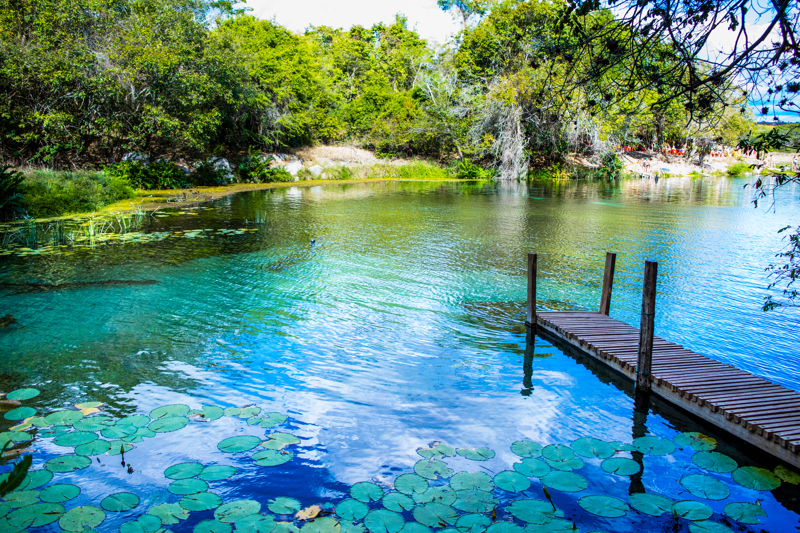 Εθνικό Πάρκο Chapada Diamantina