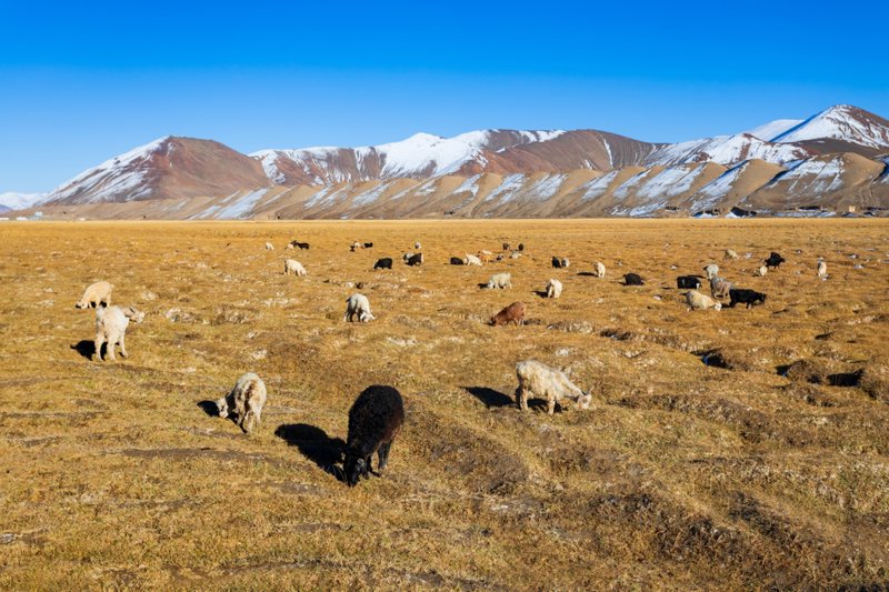 Η οροσειρά Παμίρ, η "Στέγη του Κόσμου" 