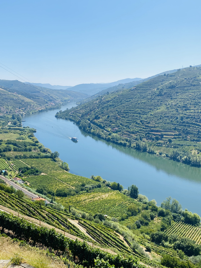 Kρουαζιέρα στον ποταμό Δούρο