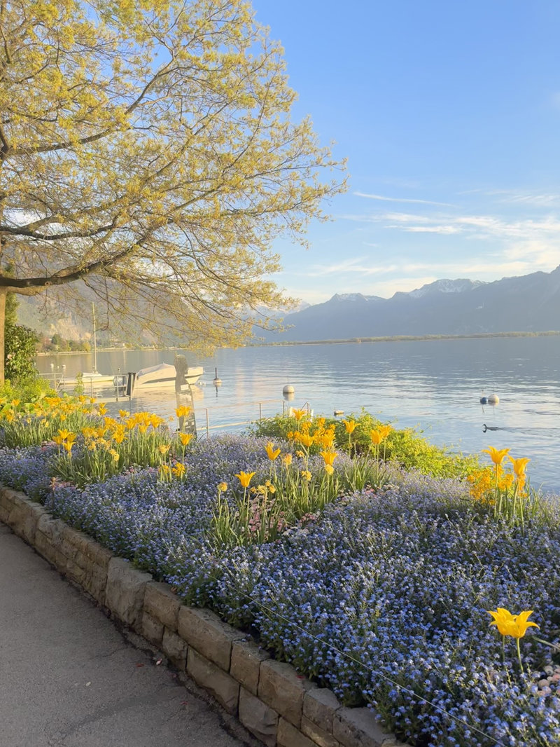 Το διάσημο Μοντρέ