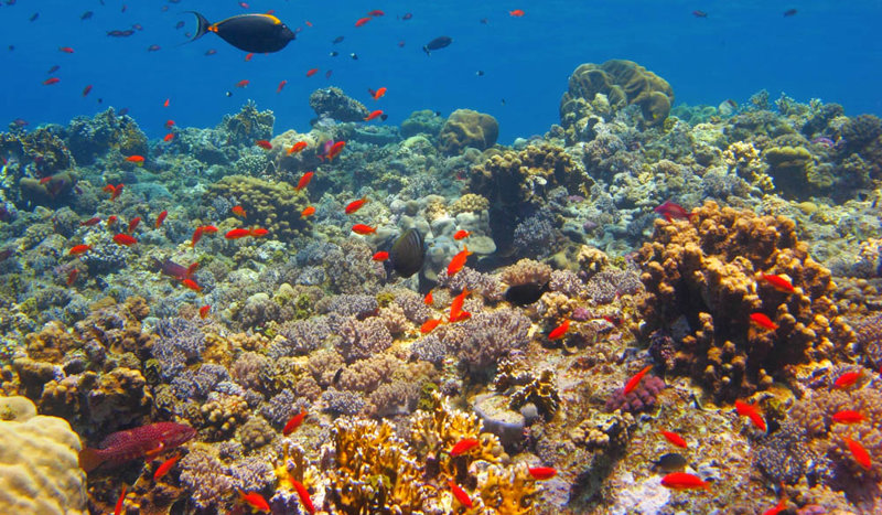 Το θαλάσσιο πάρκο St Anne