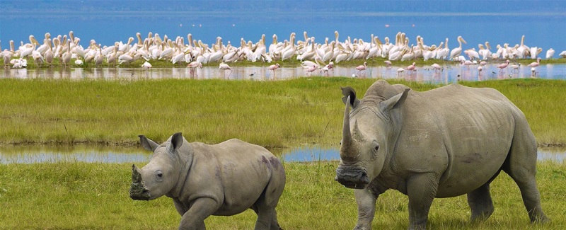 Επίσκεψη στη Σουαζιλάνδη