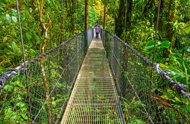 ΑΜΑΖΟΝΙΑ: Εξερεύνηση (Κρεμαστές γέφυρες, Σπίτι με τις πεταλούδες)