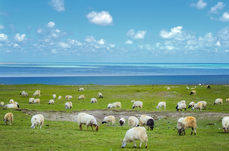 Χάουγκεσουντ, Νορβηγία