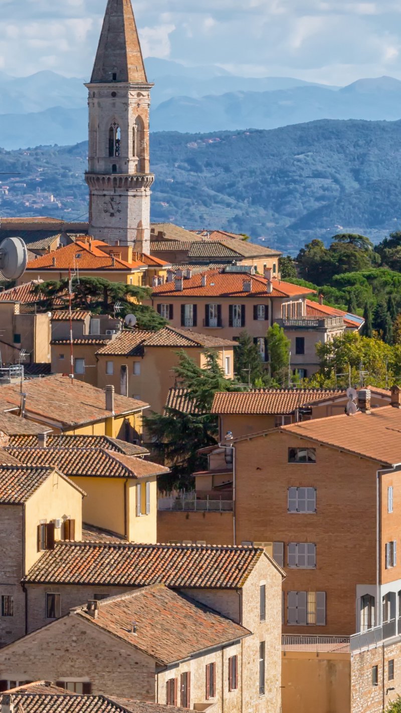 Πρόγραμμα γεμάτο με ξεναγήσεις