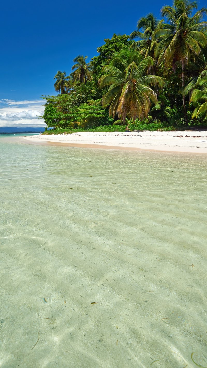 Αφεθείτε στη μαγεία του αρχιπελάγους Μπόκας ντελ Τόρο