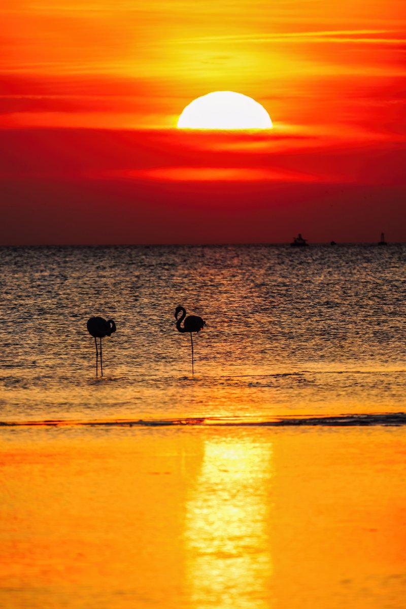 Εμπειρία Versus: Εκδρομή και βαρκάδα στο Δέλτα του Έβρου