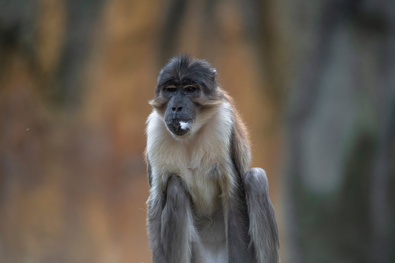 Ζούμε αυθεντικές στιγμές στη ζούγκλα 