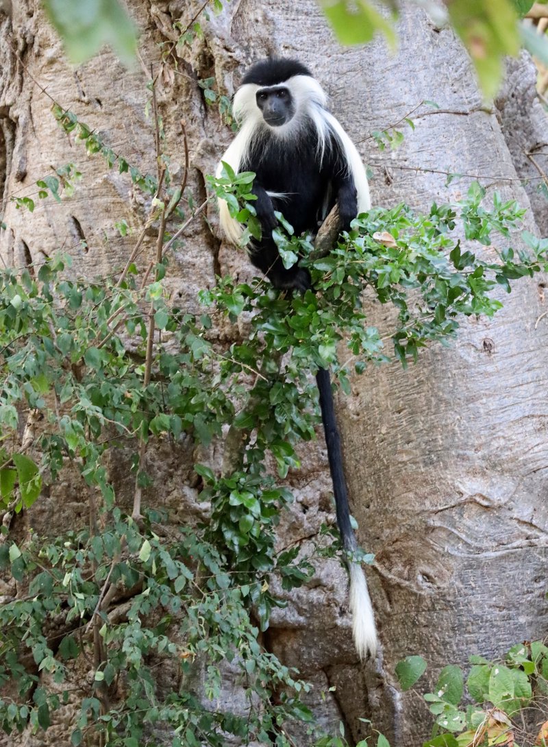 Ημιδιατροφή - πλήρης διατροφή