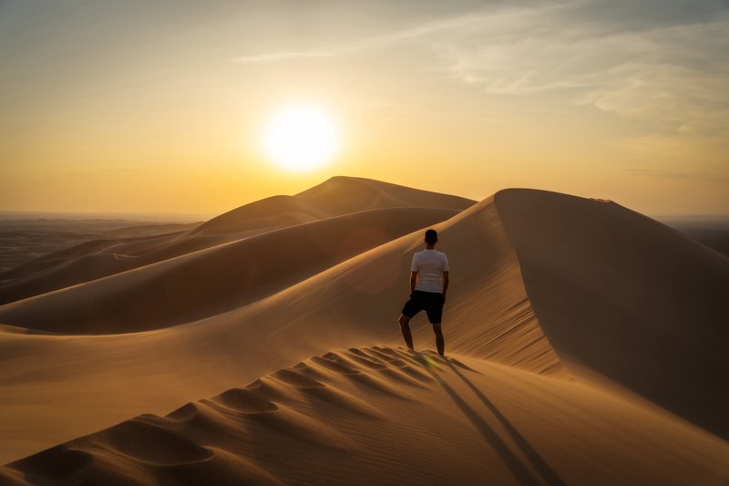 Αμμόλοφοι στην Έρημο Γκόμπι
