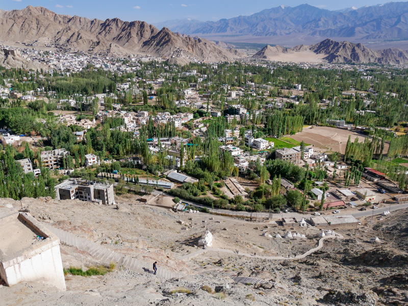 Leh Palace