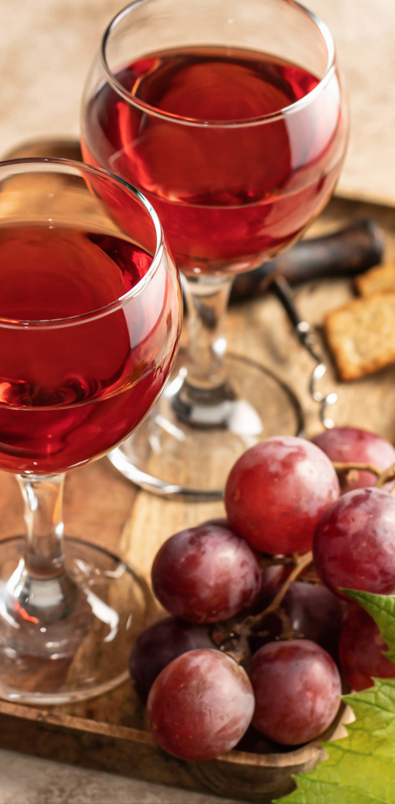 Κάνουμε οινογνωσία στη Σαμαρκάνδη 