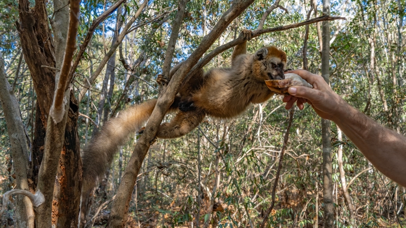 Βόλτα με 4Χ4 στο Δάσος Κιρίντι